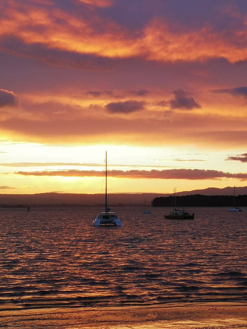 69ED7607-4482-4620-A4D8-0EECF7045495